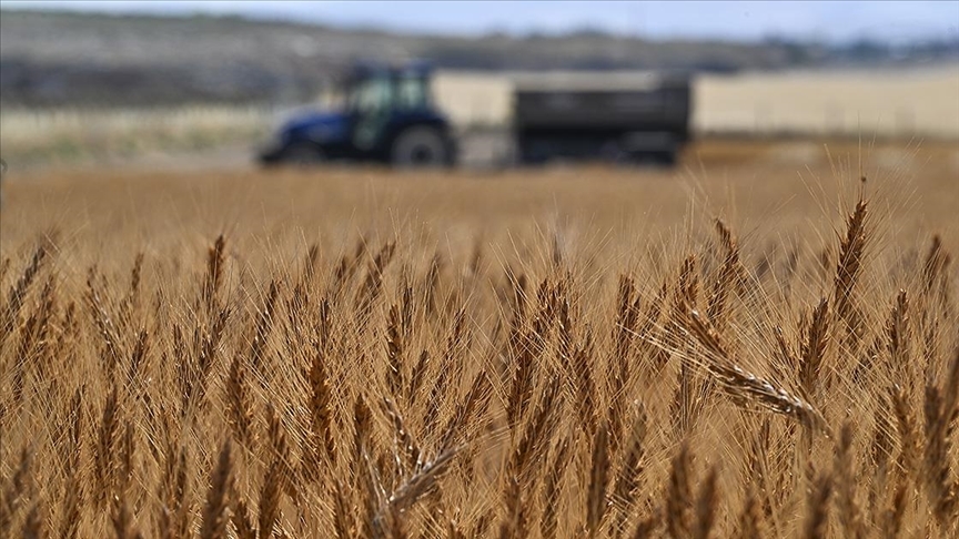 Tarımsal girdi fiyat endeksi ekimde yıllık yüzde 33,66, aylık yüzde 2,04 arttı