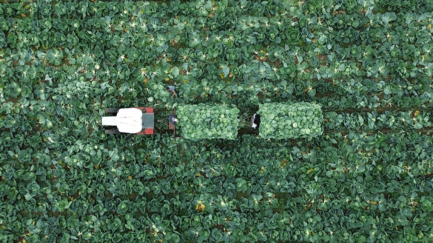 TZOB Genel Başkanı Bayraktar: Çiftçi Kayıt Sistemi'ne başvurmak için son tarih 31 Aralık