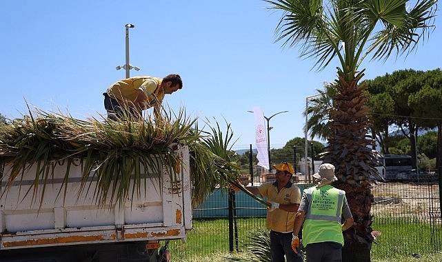 Başkan Çerçioğlu Öncülüğünde Kuşadası'nda Yeşil Alanlarda Kapsamlı Bakım ve Düzenleme Çalışması
