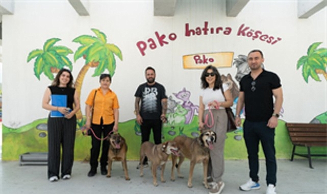 Bir proje, üç dost, hiç kopmayan bağ