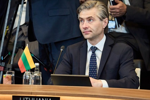 Budrys: Terörizm ile Rusya'nın hibrit savaşı arasındaki çizgi net değil