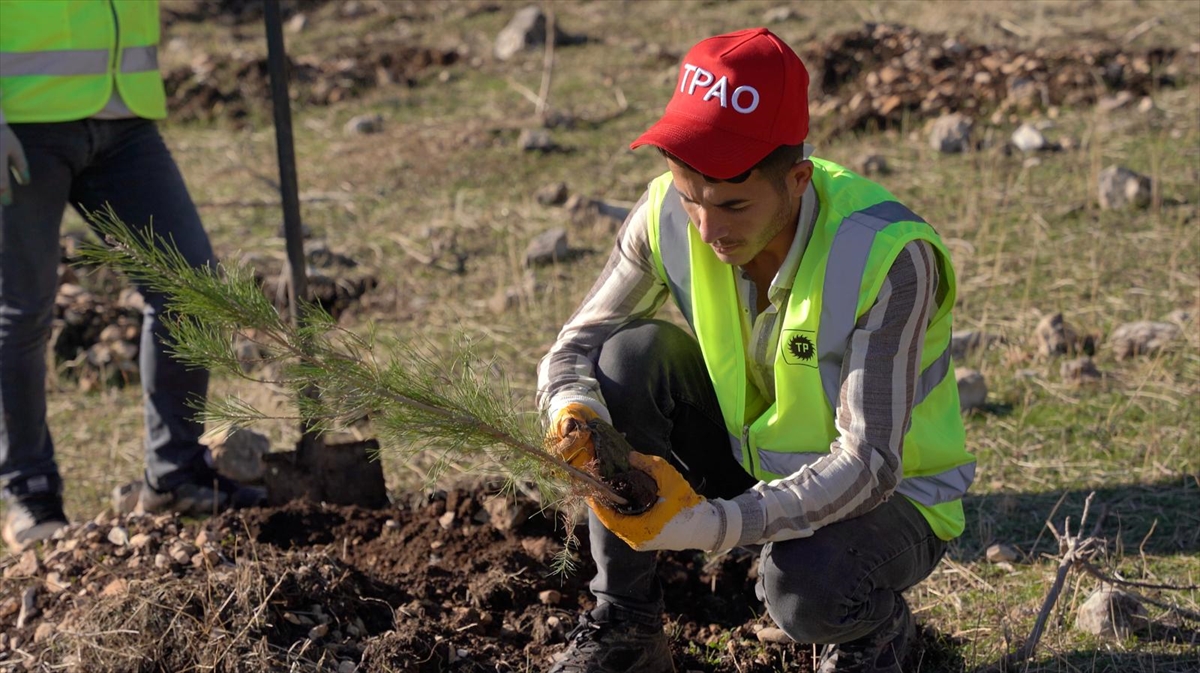 Enerji ve Tabii Kaynaklar Bakanlığı, Şırnak Gabar'da fidan dikim seferberliği başlattı