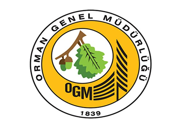 OGM: Muğla’da yangın kontrol altına alındı OGM: Muğla’da yangın kontrol altına alındı