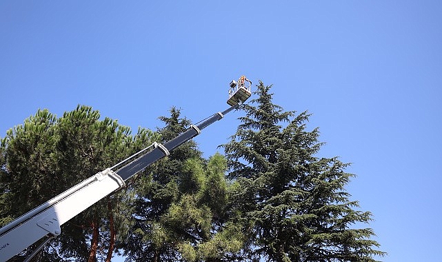 Osmangazi'de Yeşil Alanlar Titizlikle Korunuyor