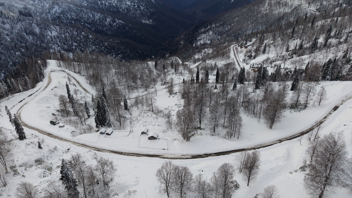 Türkiye’nin biyosfer rezervi alanı Camili Havzası beyaz örtü ile kaplandı