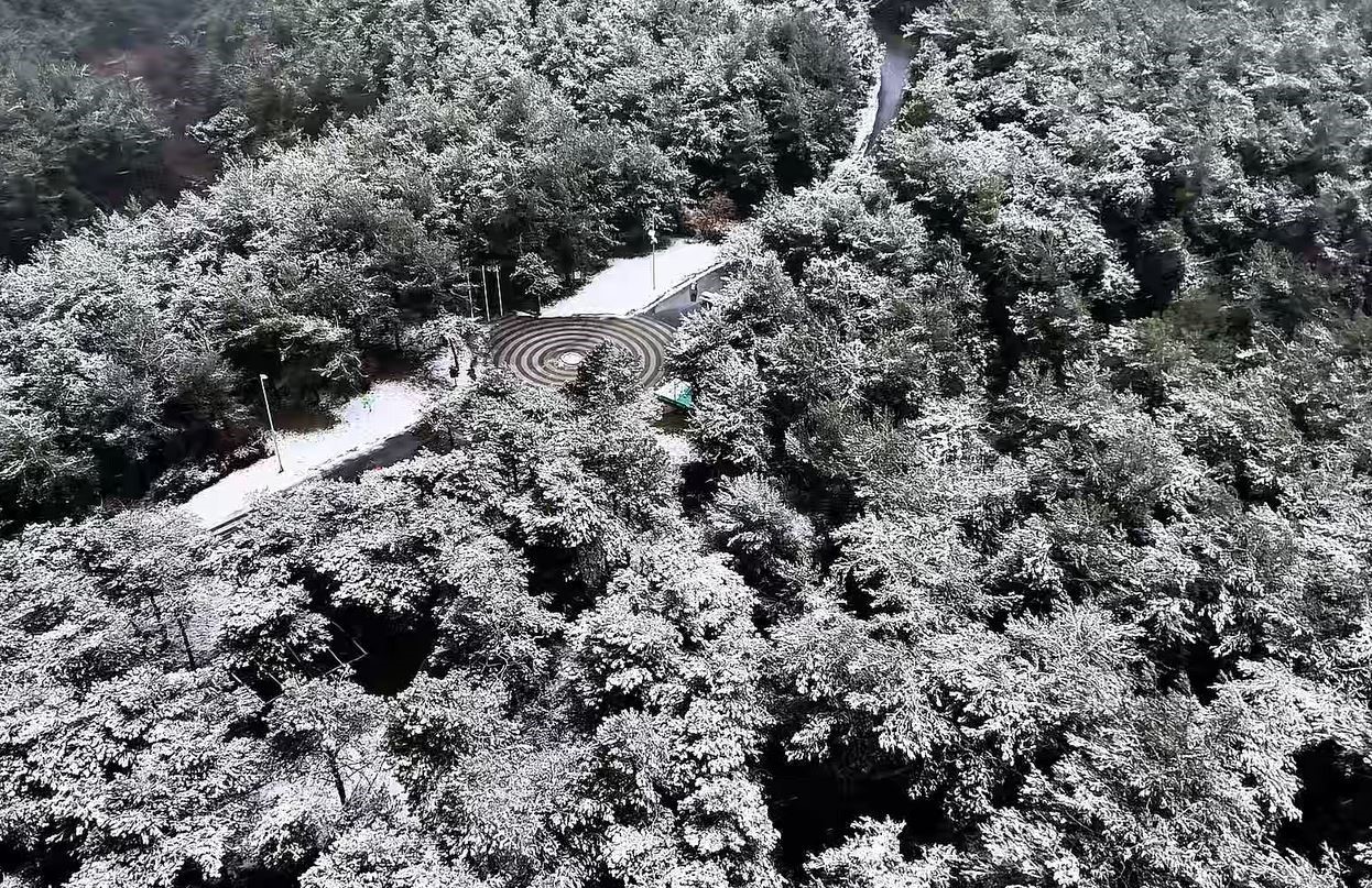 Başakşehir Şamlar Tabiat Parkı beyaza büründü
