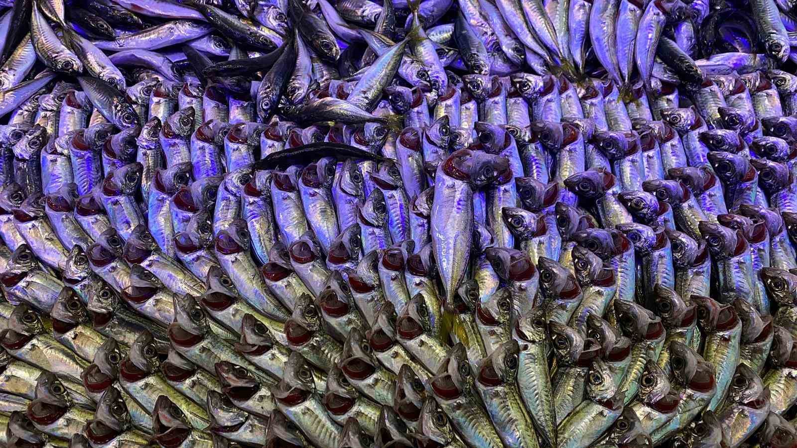 Bolu’da balık tezgahlarını fırtına vurdu
