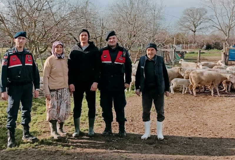 Çanakkale’de kaybolan 24 küçükbaş hayvan jandarma tarafından bulundu
