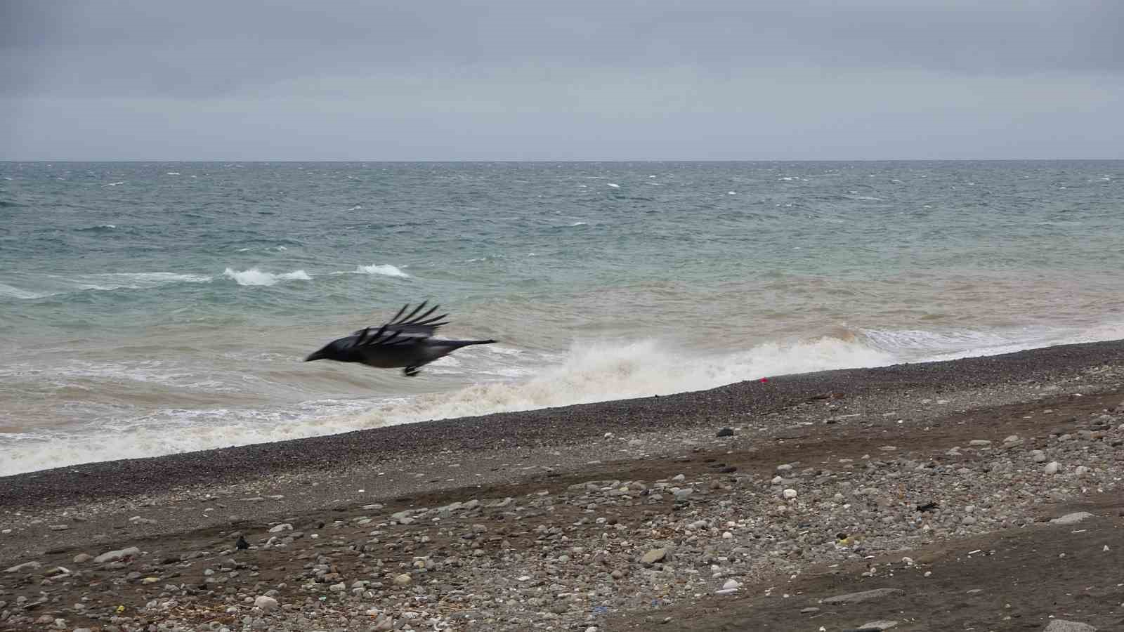 Denizdeki fırtına avını etkilese de balık fiyatlarını etkilemedi
Denizdeki fırtına avını etkilese de balık fiyatlarını etkilemedi