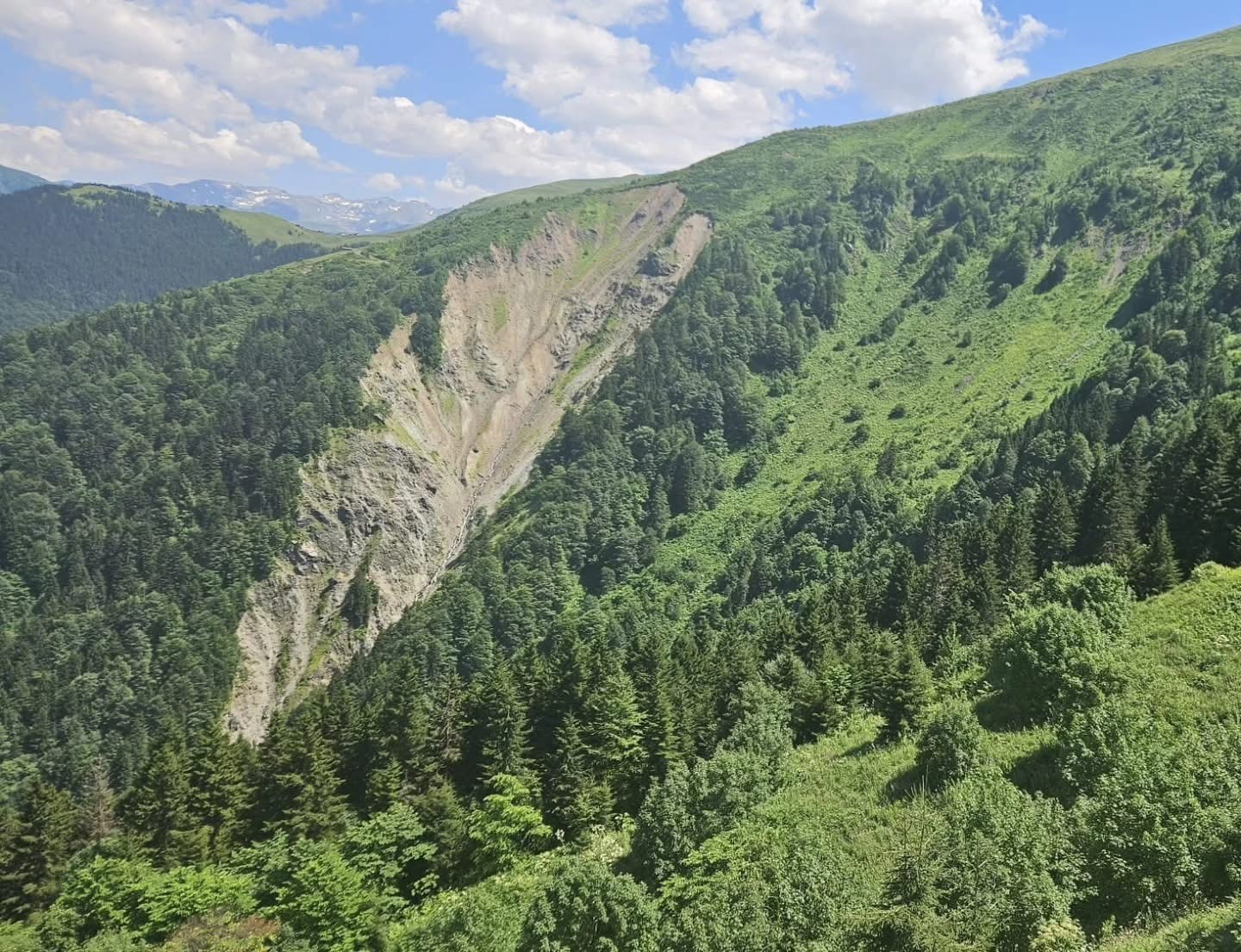 Dünyaca ünlü Uzungöl’ün sırrı bilimle aydınlatılacak
