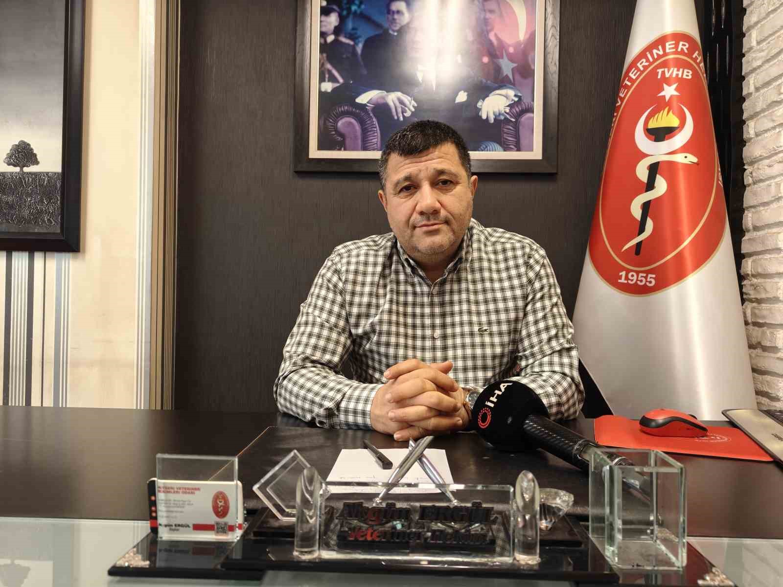 Evcil hayvanlarda kışın tüy dökme hastalık değil
Evcil hayvanlarda kışın tüy dökme hastalık değil