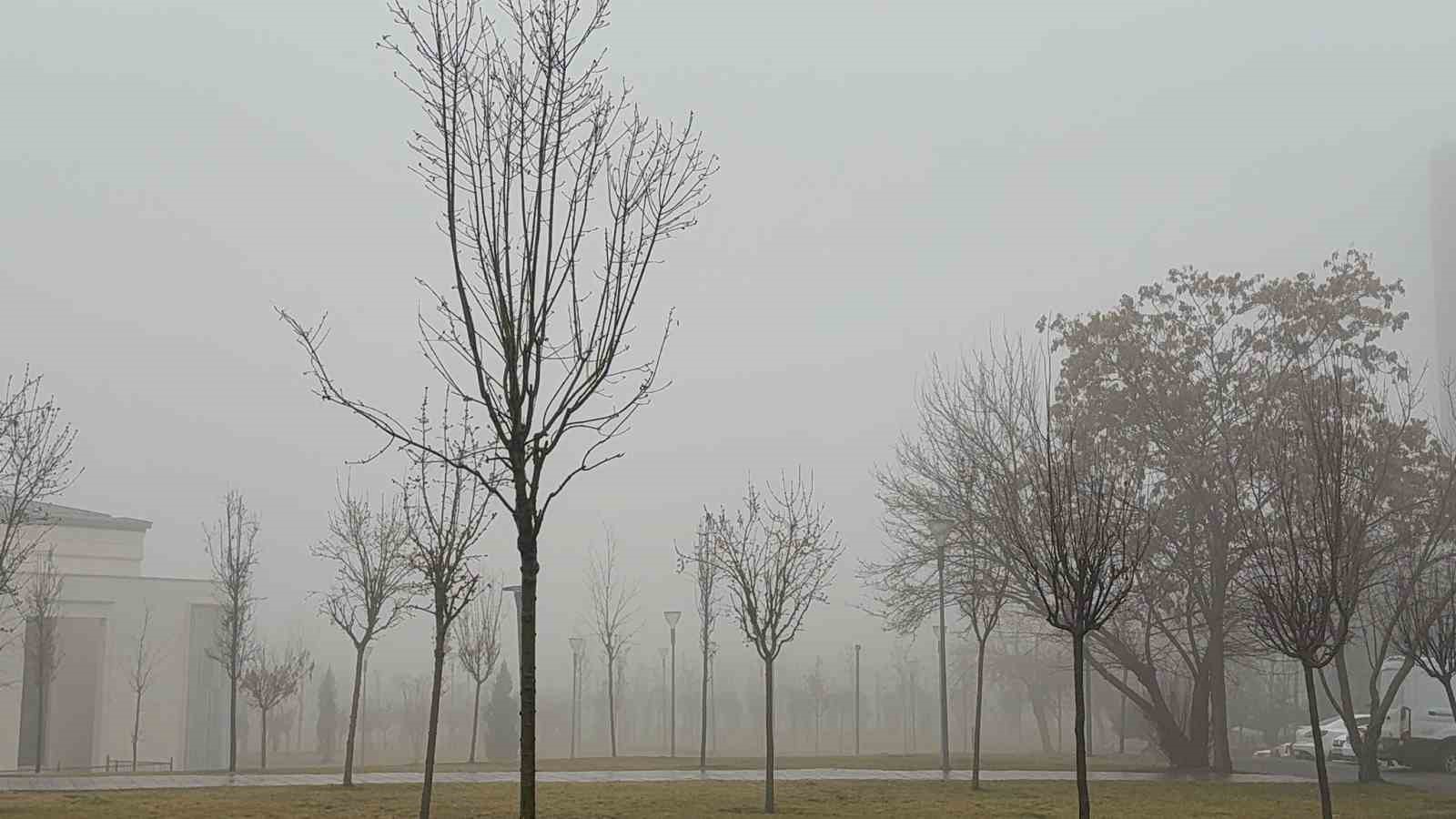 Gaziantep’te etkili olan sis görüş mesafesini düşürdü
Gaziantep’te etkili olan sis görüş mesafesini düşürdü