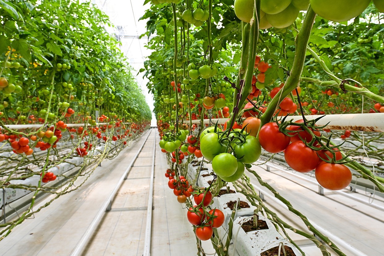 HEKTAŞ, güçlü ESG performansıyla dünya ikincisi
