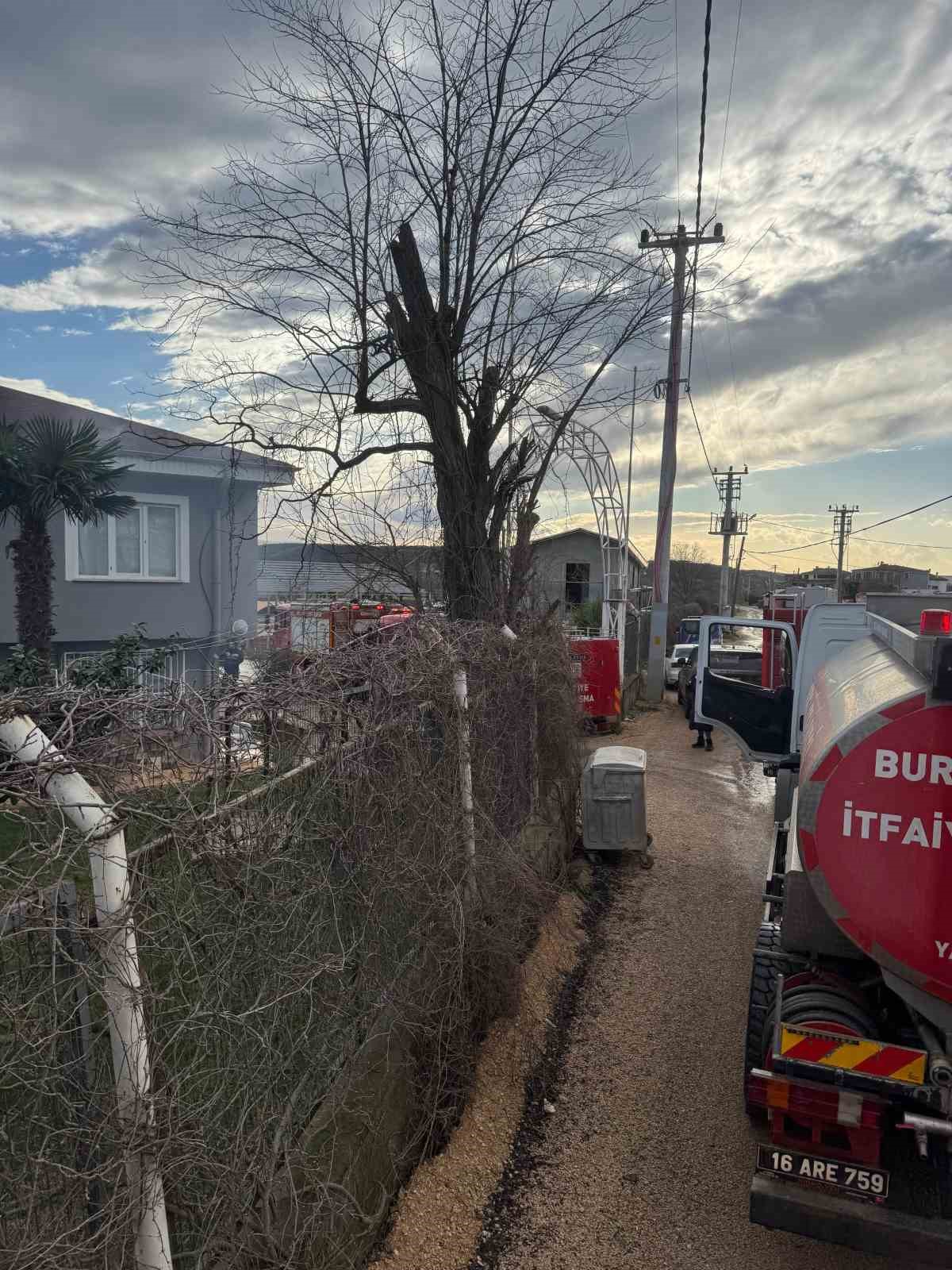 Mudanya’da lodos ve yangın paniği
