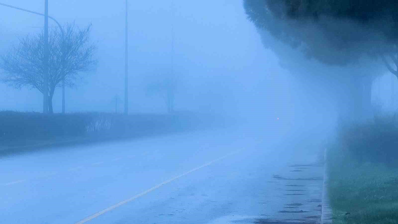 Muğla’da yoğun sis etkili oldu
Muğla’da yoğun sis etkili oldu