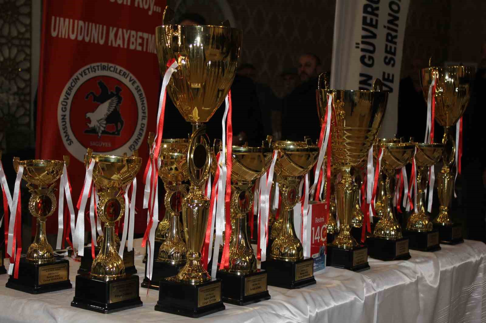 Samsun’da güvercin severler kenetlendi
Samsun’da güvercin severler kenetlendi