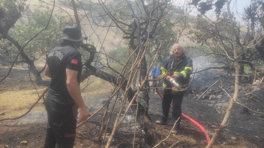 Şırnak itfaiyesi 2025’te rekor kırdı
Şırnak itfaiyesi 2025’te rekor kırdı