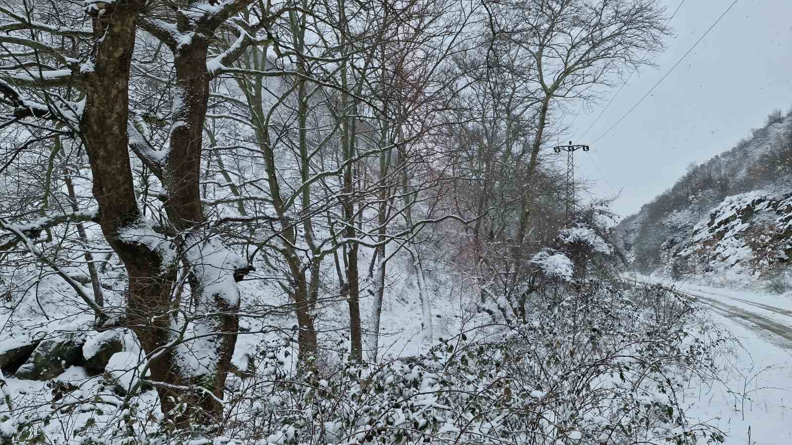 Tekirdağ’ın yüksek kesimleri yağan karla beyaza büründü
