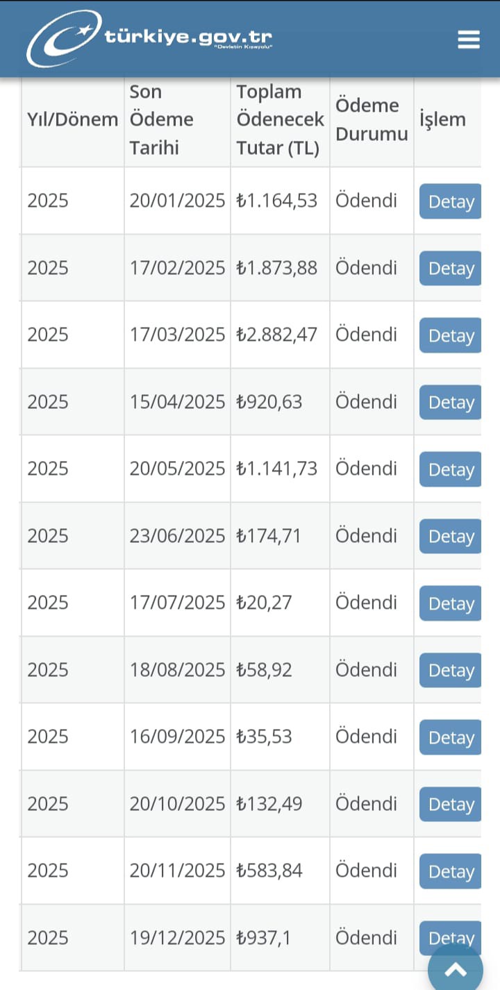 Torosgaz’dan 150 metrekarelik eve 98 bin liralık doğalgaz faturası
