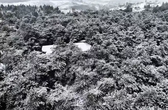 Başakşehir Şamlar Tabiat Parkı beyaza büründü
