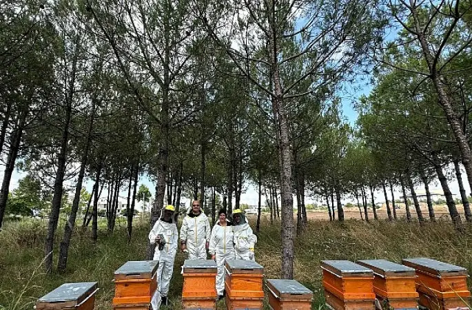 Bilinçli üretim, Kocaeli'nin balını Türkiye'ye taşıyor
