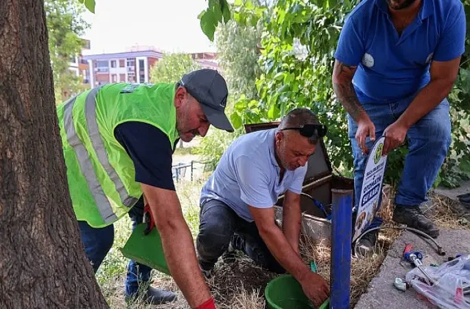 Buca Belediyesi'nden sokak hayvanlarına can suyu