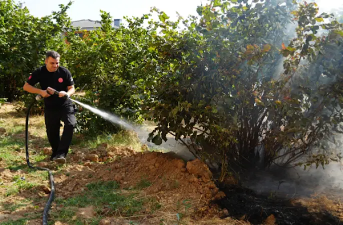 Düzce İtfaiyesi 3 ayda 300 anız yangınına müdahale etti