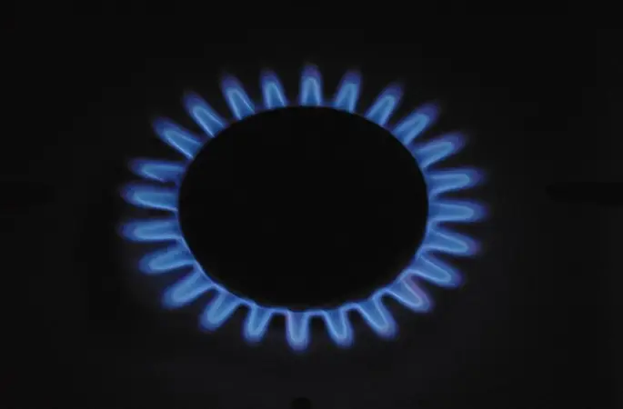 Enerya Denizli Gaz Dağıtım’ın lisans kapsamı genişletildi