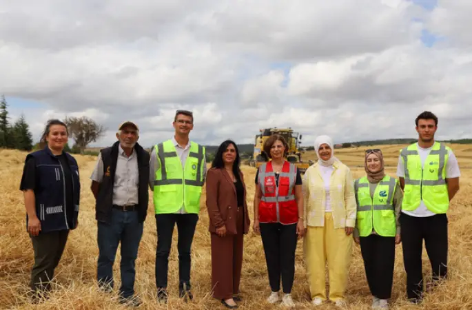 Eskişehir'de ata tohumu Kavılca buğdayında bereketli hasat: 73 dekardan 17 ton ürün
