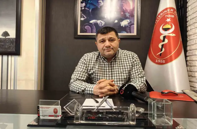 Evcil hayvanlarda kışın tüy dökme hastalık değil
