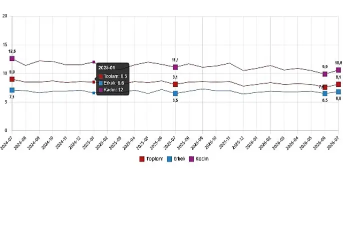 İşgücü İstatistikleri, Temmuz 2026