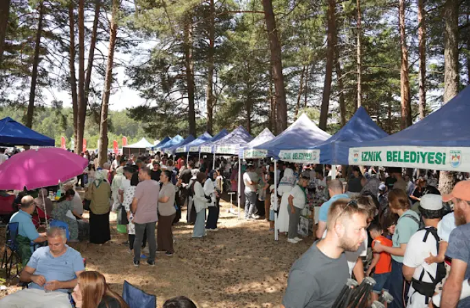 İznik’te 5. Maviyemiş Festivali düzenlendi