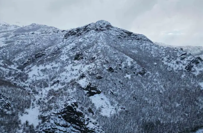 Karla birlikte meşe ormanı beyaza büründü
