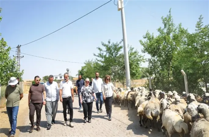 Kayapınar'da kırsal mahallelerde altyapı çalışmaları sürüyor