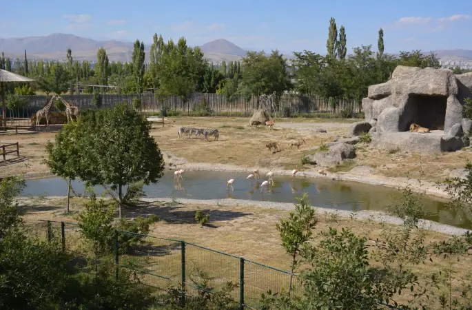 Kayseri’de hayvanat bahçesi Zafer Bayramı’nda ücretsiz olacak
