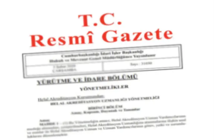 Ödeme kuruluşlarının uzaktan kimlik tespitine ilişkin düzenleme Resmi Gazete’de