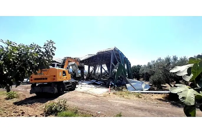 Osmangazi'de Zeytinliğe Yapılan Kaçak Depoya İzin Yok 