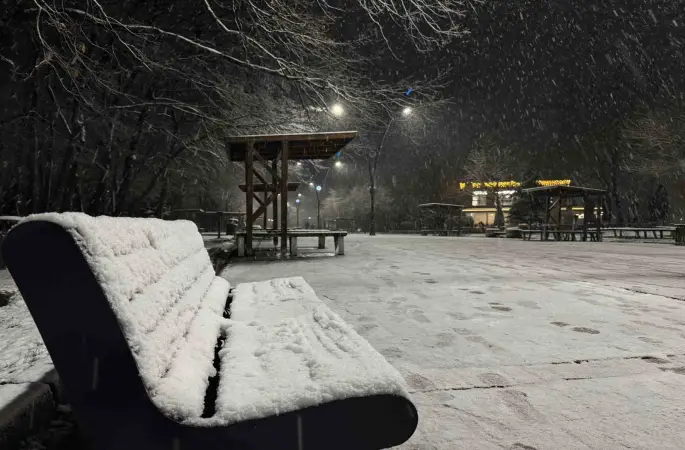 Sakarya’da lapa lapa kar yağışı başladı
