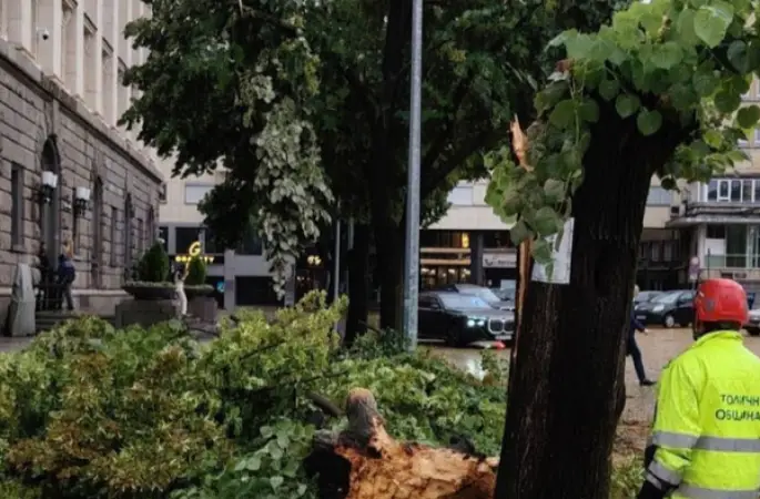 Sofya ve Plovdiv’da fırtına hasarı: Ekipler çalışmalarını sürdürüyor
