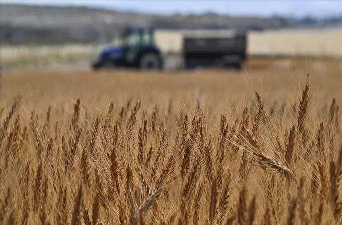 Tarımsal girdi fiyat endeksi ekimde yıllık yüzde 33,66, aylık yüzde 2,04 arttı
