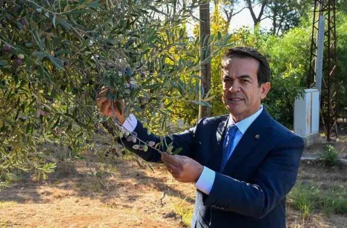 Zeytinyağı kalite yarışması için son gün 15 Ocak
