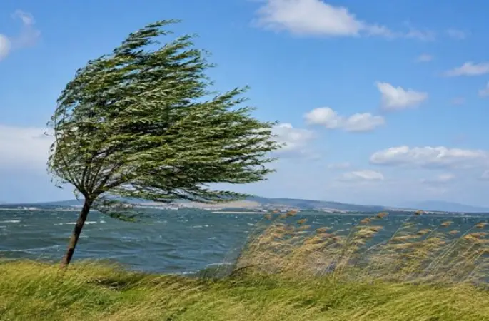 Zonguldak ve Bartın kıyıları için kuvvetli rüzgar uyarısı